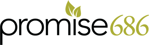 Promise686 Analytics
